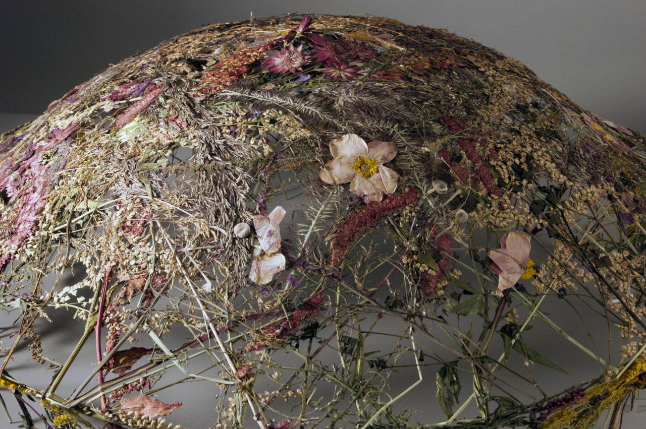 ephemeral sculptures with pressed flowers by ignacio canales